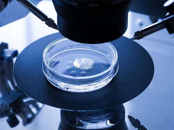 试管婴儿胚胎移植的窗口期如何通过指标去判断